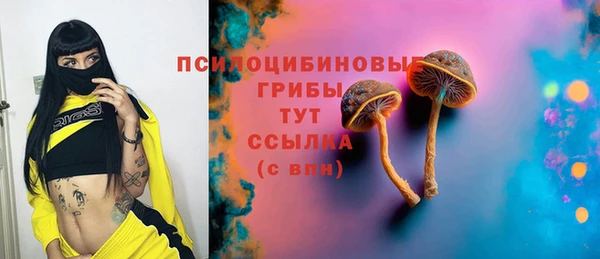 соль ск Алексеевка