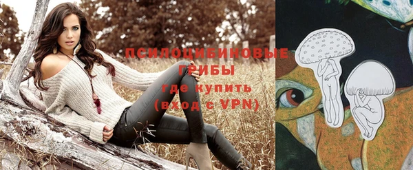тгк Алзамай