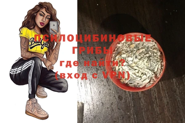 соль ск Алексеевка