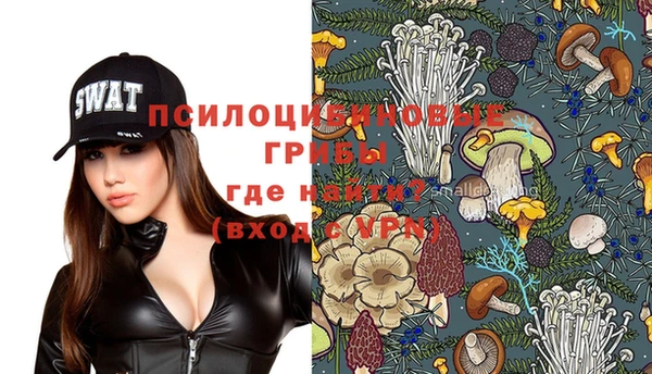 тгк Алзамай