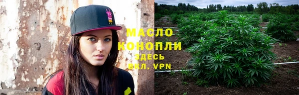 тгк Алзамай