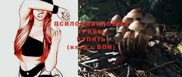 соль ск Алексеевка